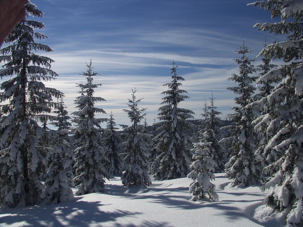 Penzion U Candru Vyšší Brod Exteriér fotografie